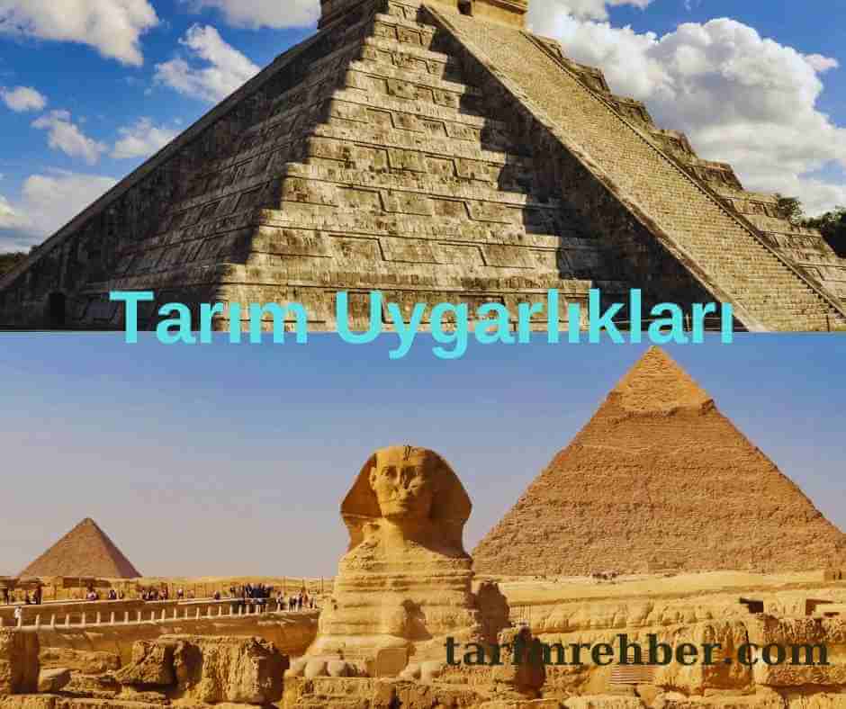 Tarım Uygarlıkları kapak görsel